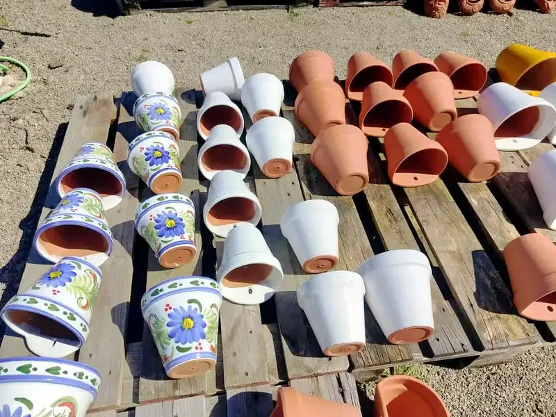 Pots couchés avec des motifs